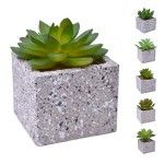 VASO C/CATO 6.4X6.3X5.2CM 2639-205 CX96