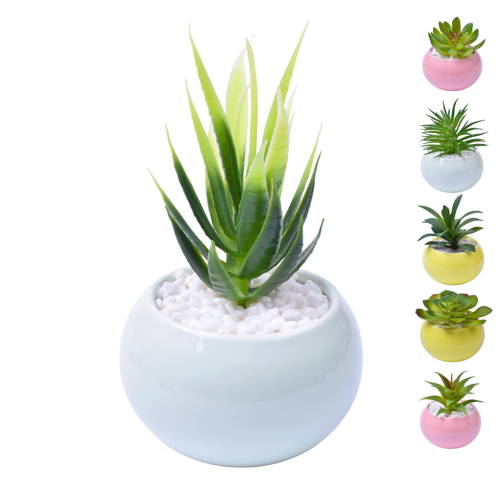 VASO C/CACTO 2070-42-01 CX48 VASO C/CACTO 2070-42-01 CX48