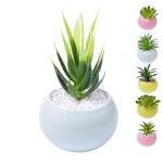 VASO C/CACTO 2070-42-01 CX48