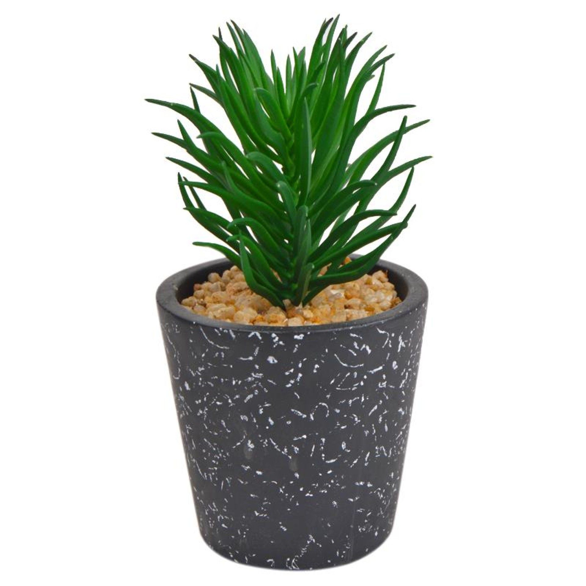 PLANTA C/VASO 2437-002 PLANTA C/VASO 2437-002