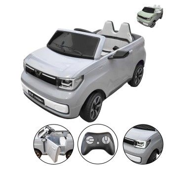 CARRO ELET INF 57X77X108CM 3004-101 CX1