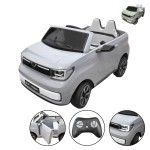 CARRO ELET INF 57X77X108CM 3004-101 CX1