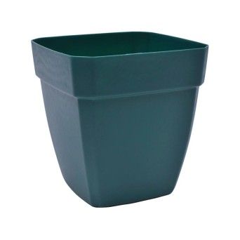 VASO QUADR C/ABA EUR 250 VERDE