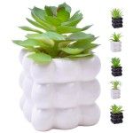 PLANTA C/VASO 8X8X8CM 2884-008-01 CX96 PLANTA C/VASO 8X8X8CM 2884-008-01 CX96