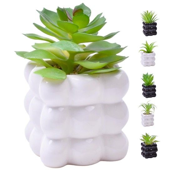 PLANTA C/VASO 8X8X8CM 2884-008-01 CX96 PLANTA C/VASO 8X8X8CM 2884-008-01 CX96