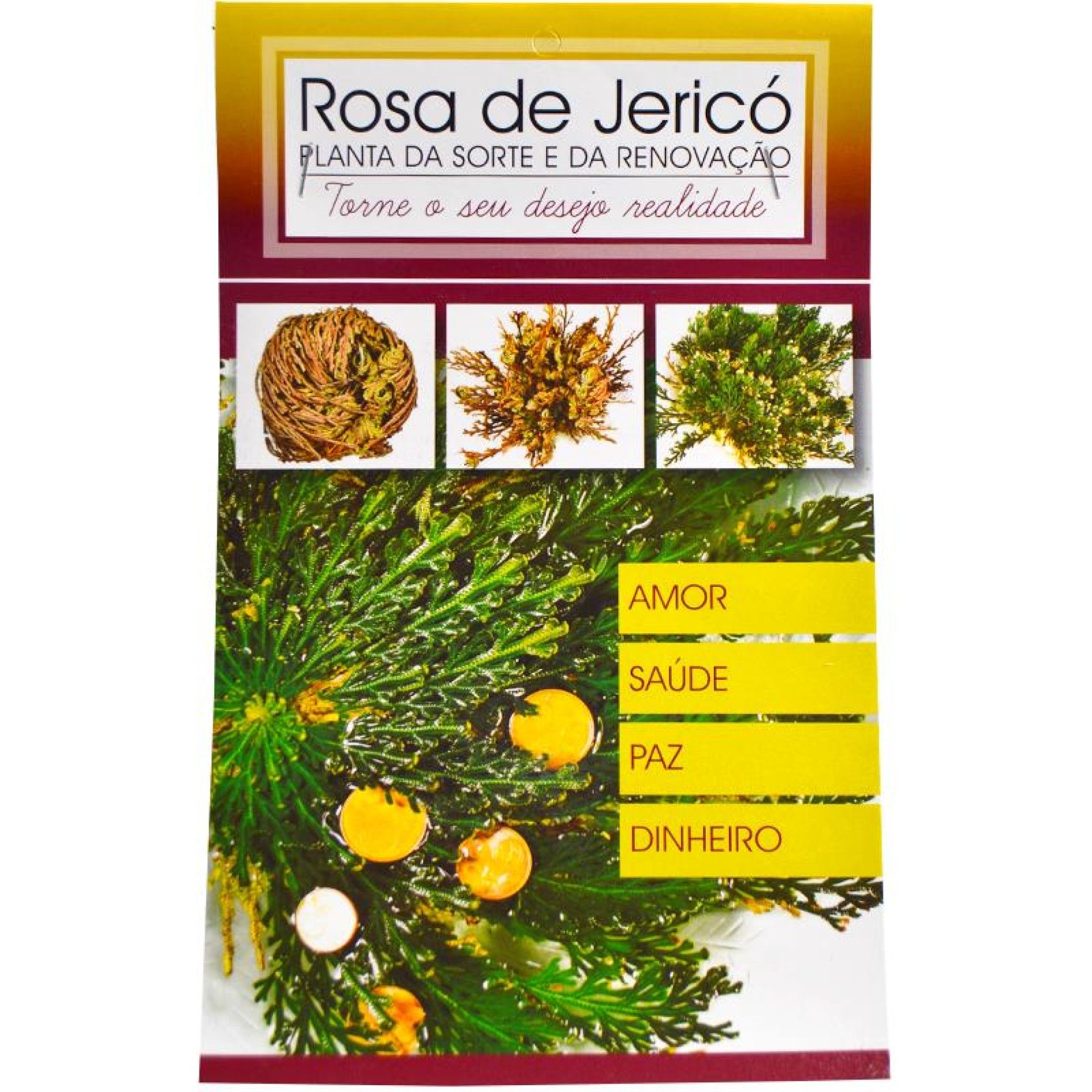 ROSA JERICO ROSA JERICO