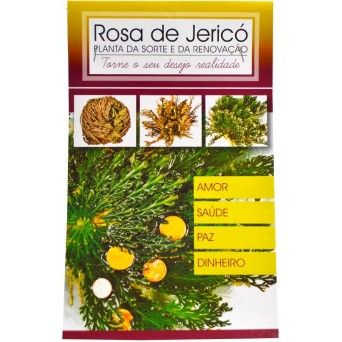 ROSA JERICO