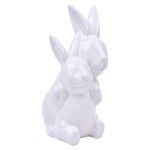 COELHO DEC PASC 11X8,5X17 2659-023-C CX36 COELHO DEC PASC 11X8,5X17 2659-023-C CX36