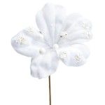 FLOR NATAL BRC 49985846 FLOR NATAL BRC 49985846