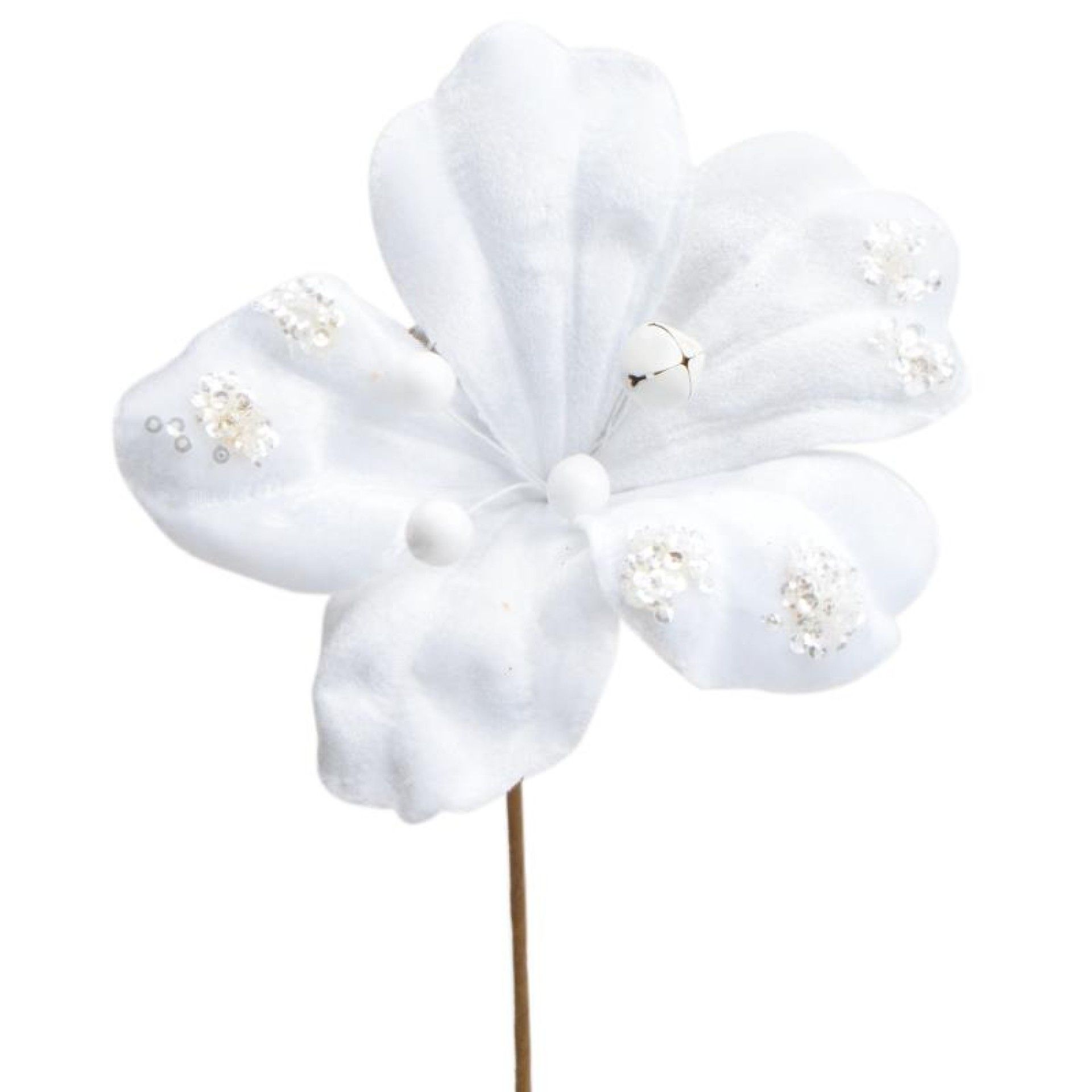 FLOR NATAL BRC 49985846 FLOR NATAL BRC 49985846