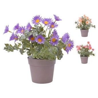 PLANTA C/ VASO 2440-018 CX144