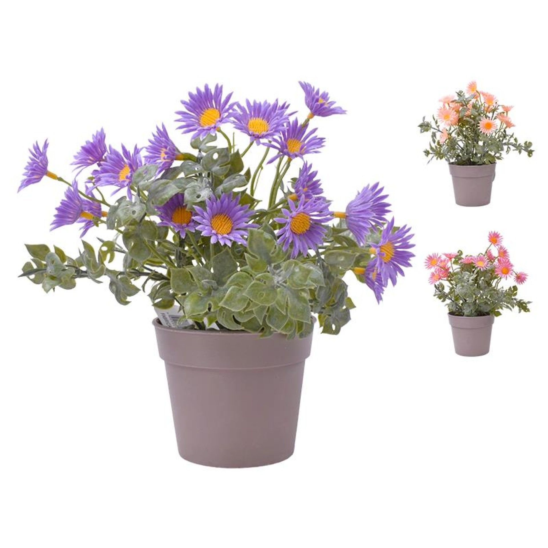 PLANTA C/ VASO 2440-018 CX144 PLANTA C/ VASO 2440-018 CX144