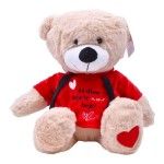 URSO PELUCHE PA021SHW076 35CM URSO PELUCHE PA021SHW076 35CM
