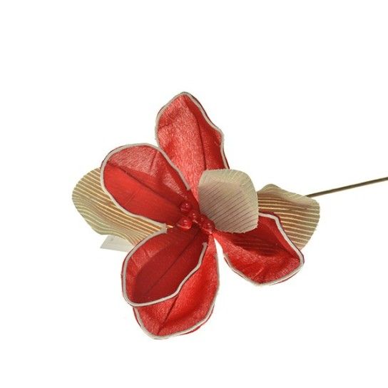 FLOR NATAL 306123228AS LUNA