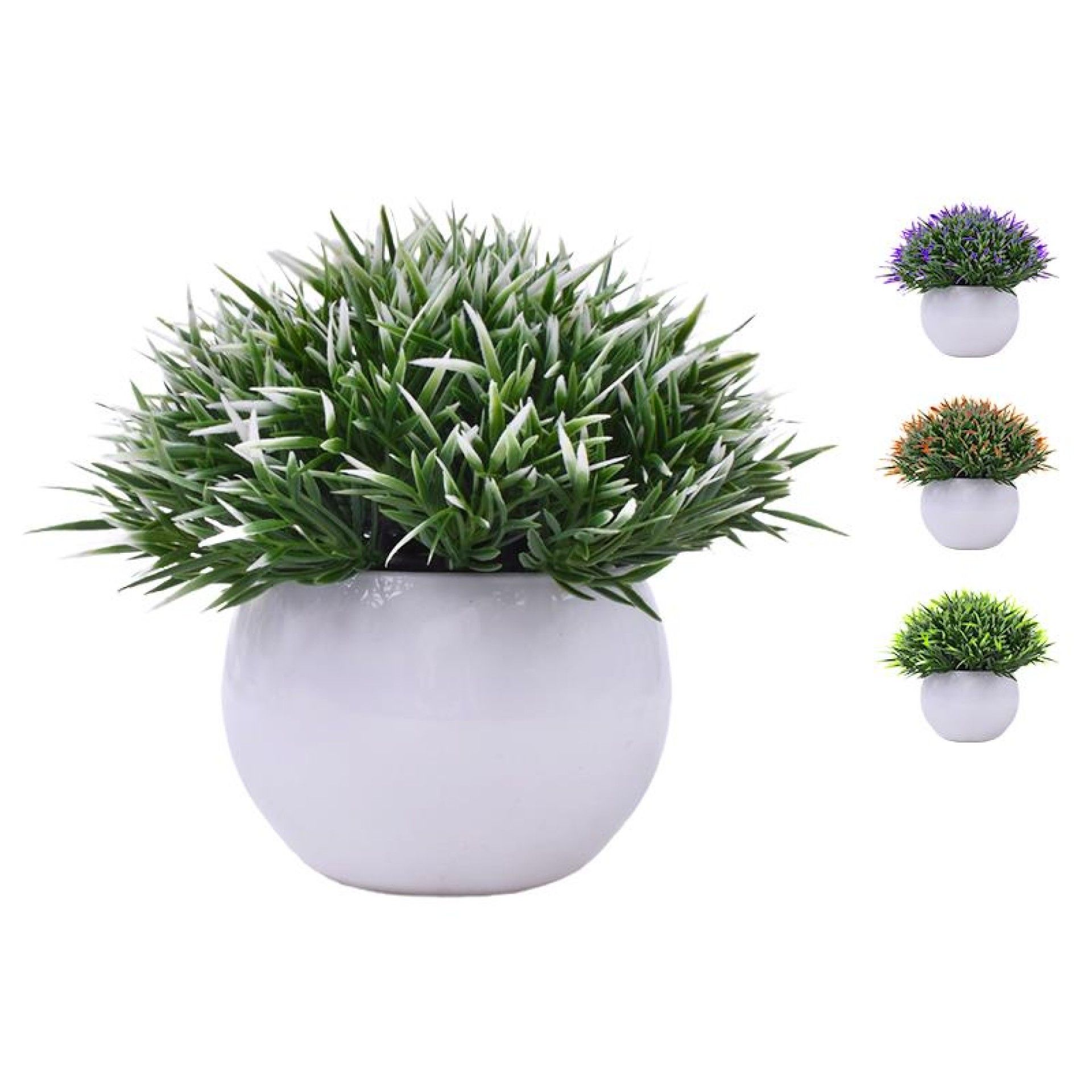 PLANTA C/ VASO 2440-013 CX144 PLANTA C/ VASO 2440-013 CX144