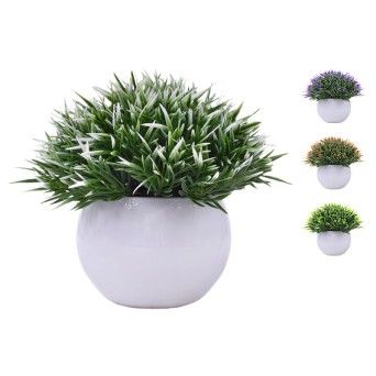 PLANTA C/ VASO 2440-013 CX144