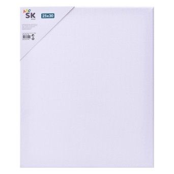 TELA P/PINTAR 25X30CM 2679-200 CX80