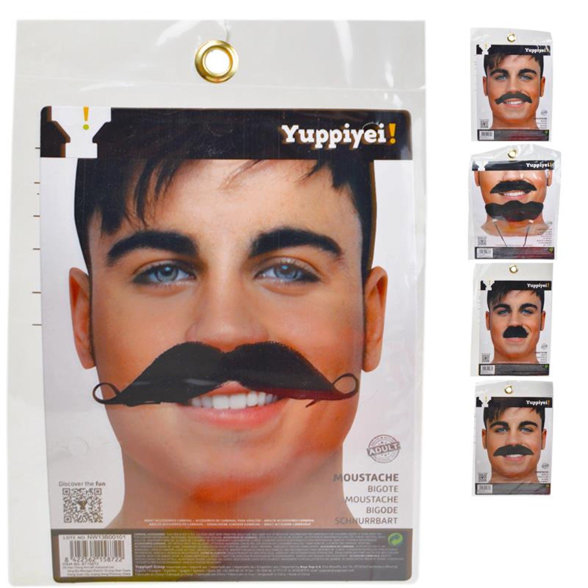 CARNAVAL BIGODE