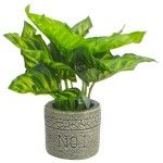 BONSAI C/VASO 1427-206 BONSAI C/VASO 1427-206