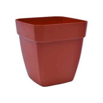 VASO QUADR C/ABA EUR 200 TERRA
