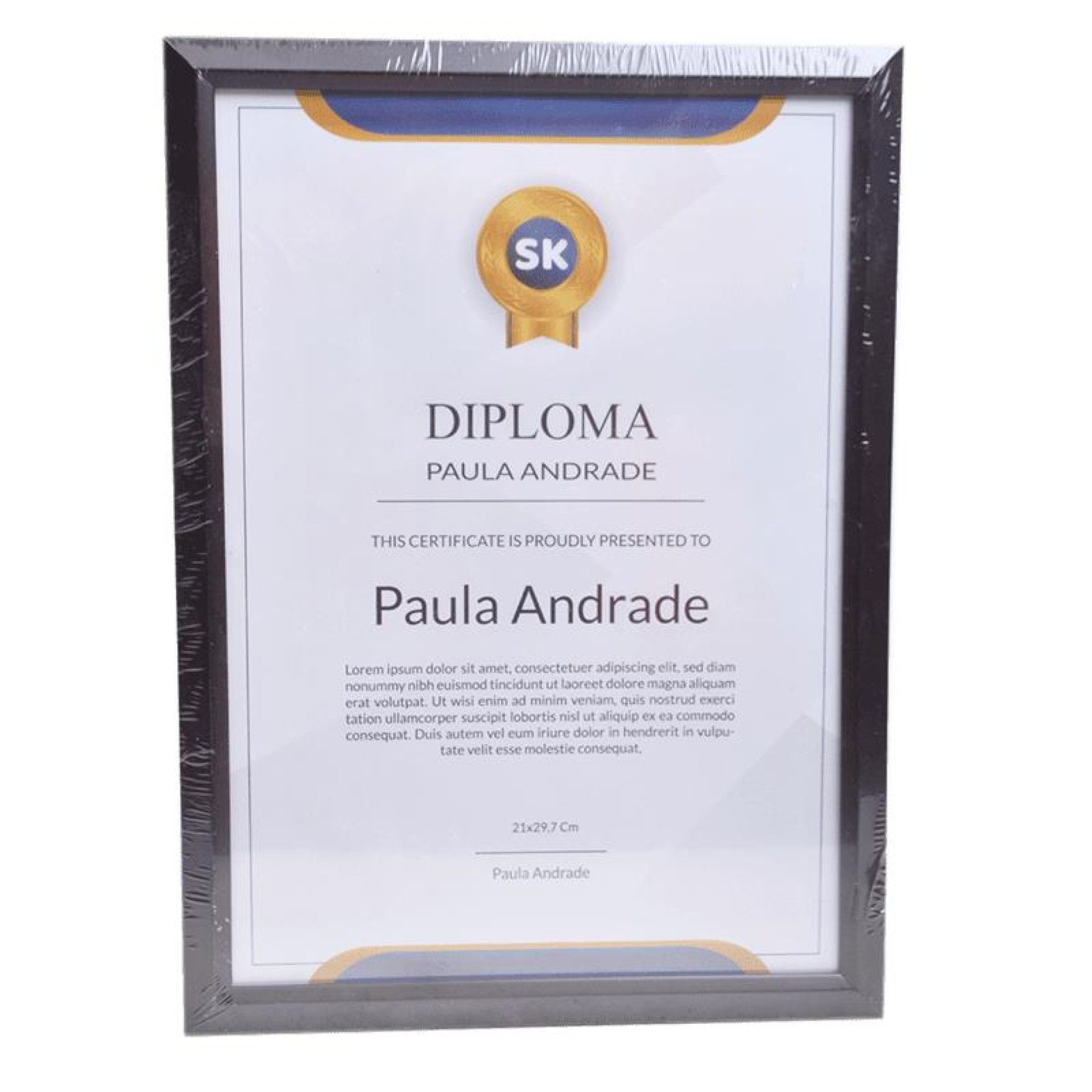 PORTA DIPLOMA 21X29,7CM 1404-090-A CX48