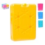 SET 2 ACUMULADORES GELO 820-310 CX24