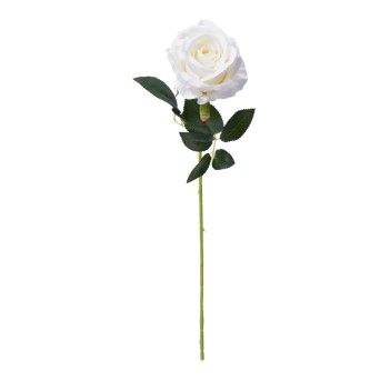 ROSA BRANCA 202-800-B CX480