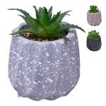 VASO DEC 2574-002 CX72