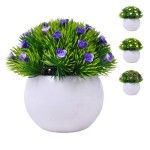 PLANTA C/ VASO 2440-021 CX144