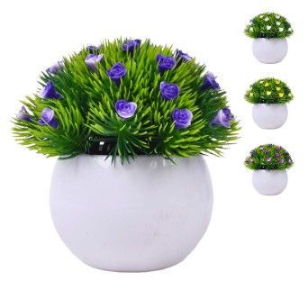 PLANTA C/ VASO 2440-021 CX144