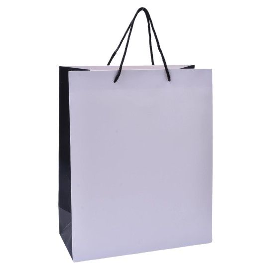 SACO PAPEL 42X31X12CM 2417-001-A03 CX240