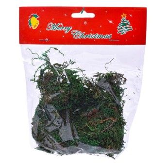 MUSGO VERDE 20GR1611-601-20 CX240