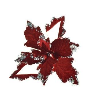 FLOR NATAL 306122742 LUNA