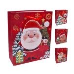 SACO PAPEL 3D 23,5X19,5X8 1968-503 CX360 SACO PAPEL 3D 23,5X19,5X8 1968-503 CX360