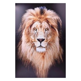 QUADRO TELA DEC 120X80 2718-020W-01
