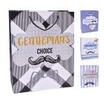 SACO PRESENTE 23X18X10 2317-052 CX480