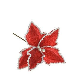 FLOR NATAL 306125044 LUNA