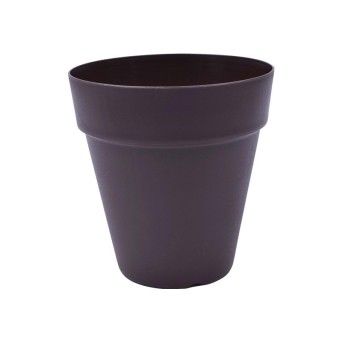 VASO RED C/ABA EUR 250 CAST