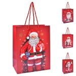 SACO PAPEL 26X32X10CM 2994-022-01 CX240
