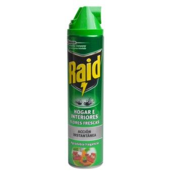 RAID 600ML INTERIORES