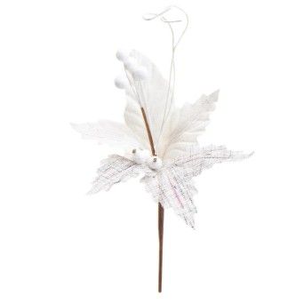FLOR NATAL 306122529 LUNA