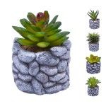 VASO C/CATO 6.5X5.5CM 2639-200 CX96