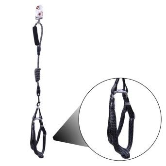 PEITORAL + TRELA ANIMAL 2548-001-1 CX120