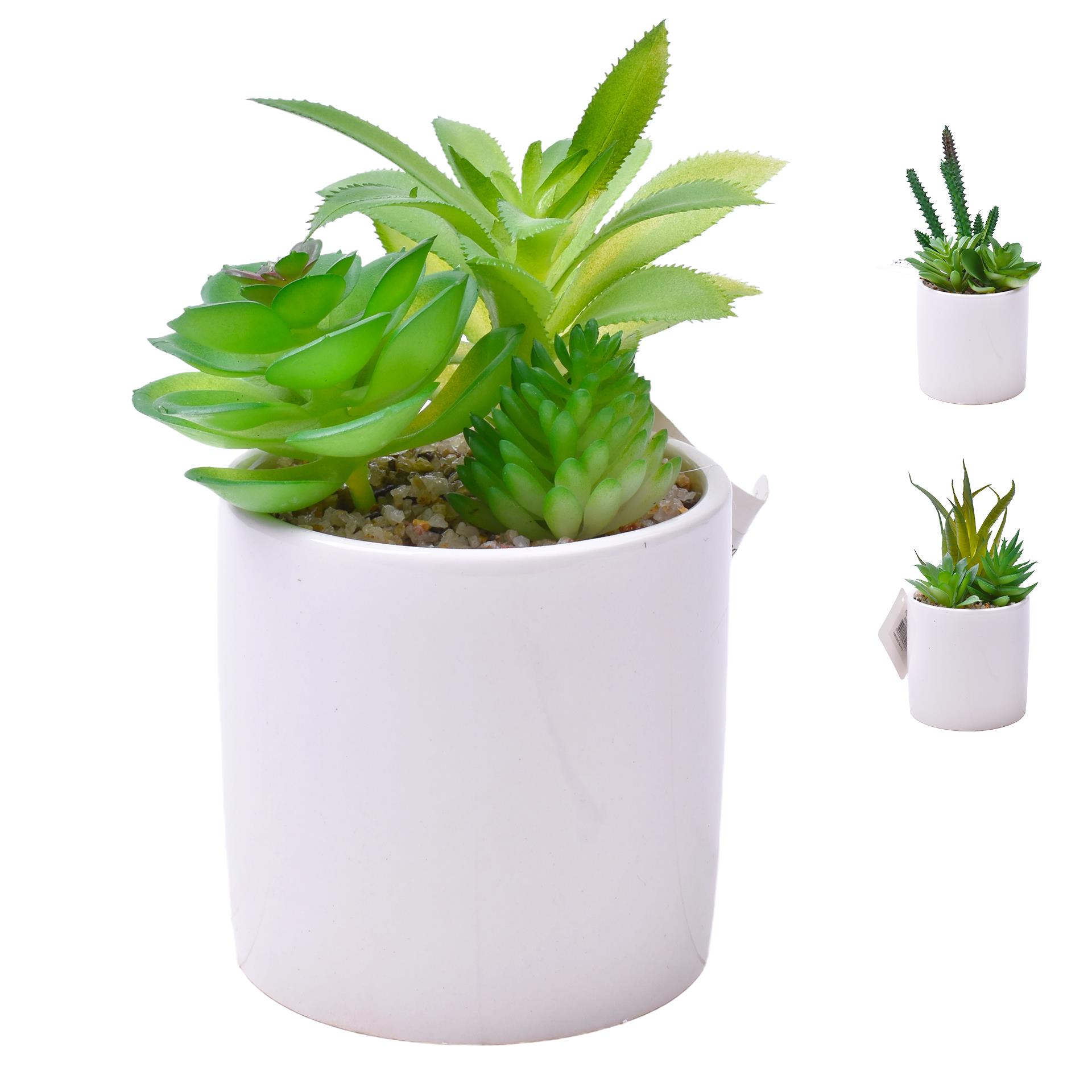 PLANTA C/VASO 8X8CM 2884-009 CX96 PLANTA C/VASO 8X8CM 2884-009 CX96