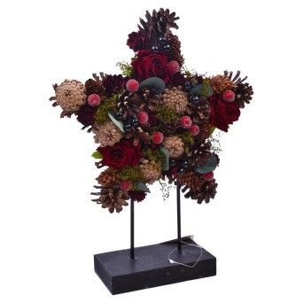 ESTRELA 2300-570 CX12 ESTRELA 2300-570 CX12