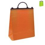 SACO TERMICO 30X35X15 JL85016-2