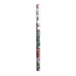TUBO CONFETIS EUROS 80CM 202843-80 TUBO CONFETIS EUROS 80CM 202843-80