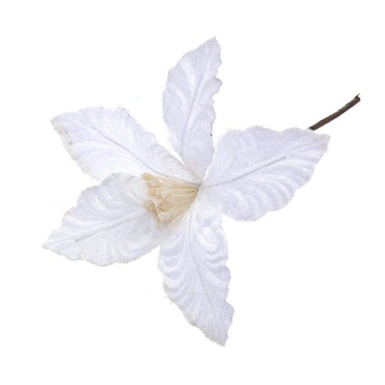FLOR NATAL 306127462 LUNA