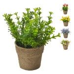 VASINHO PLANTA PLASTICO VASINHO PLANTA PLASTICO