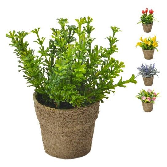 VASINHO PLANTA PLASTICO VASINHO PLANTA PLASTICO